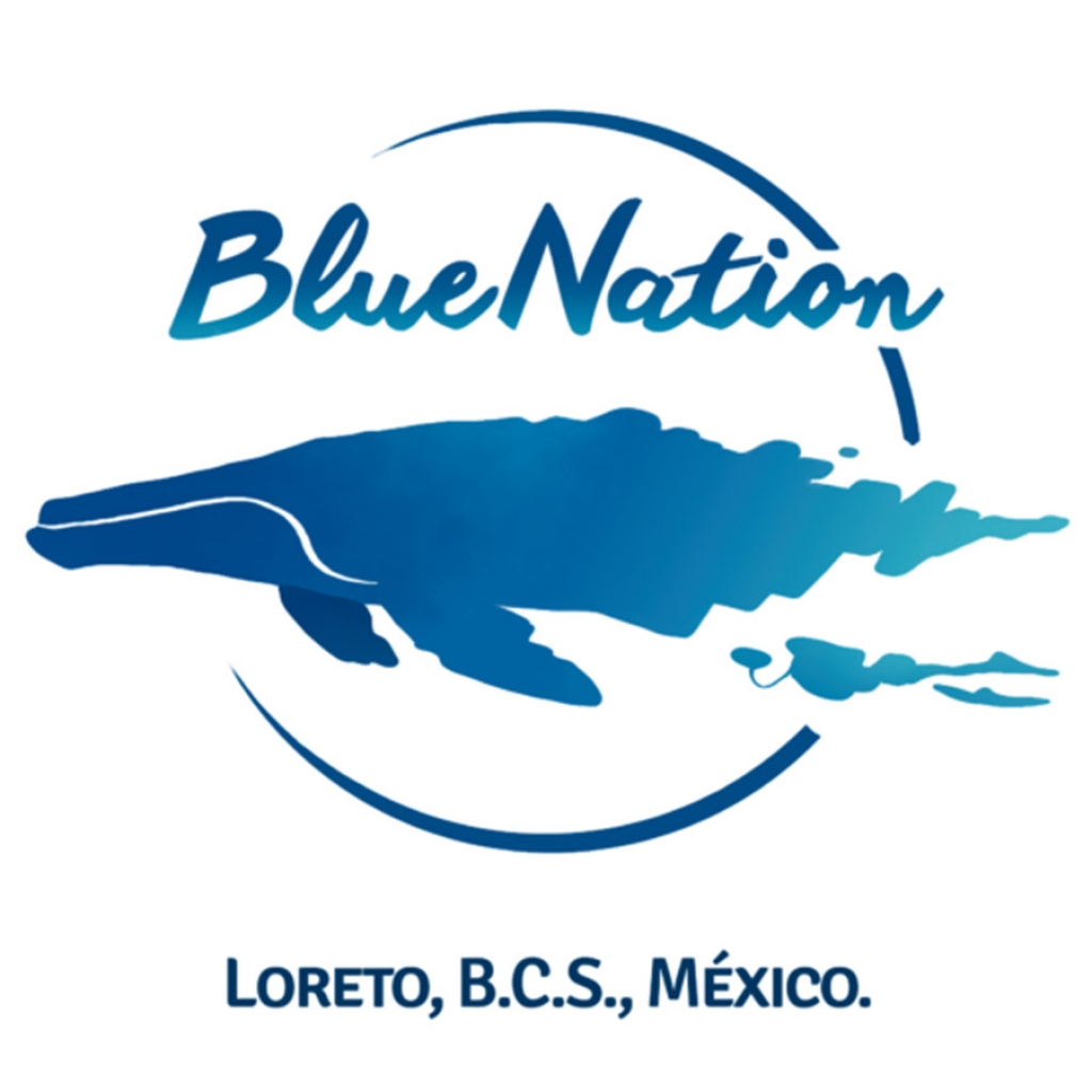 Blue Nation Loreto