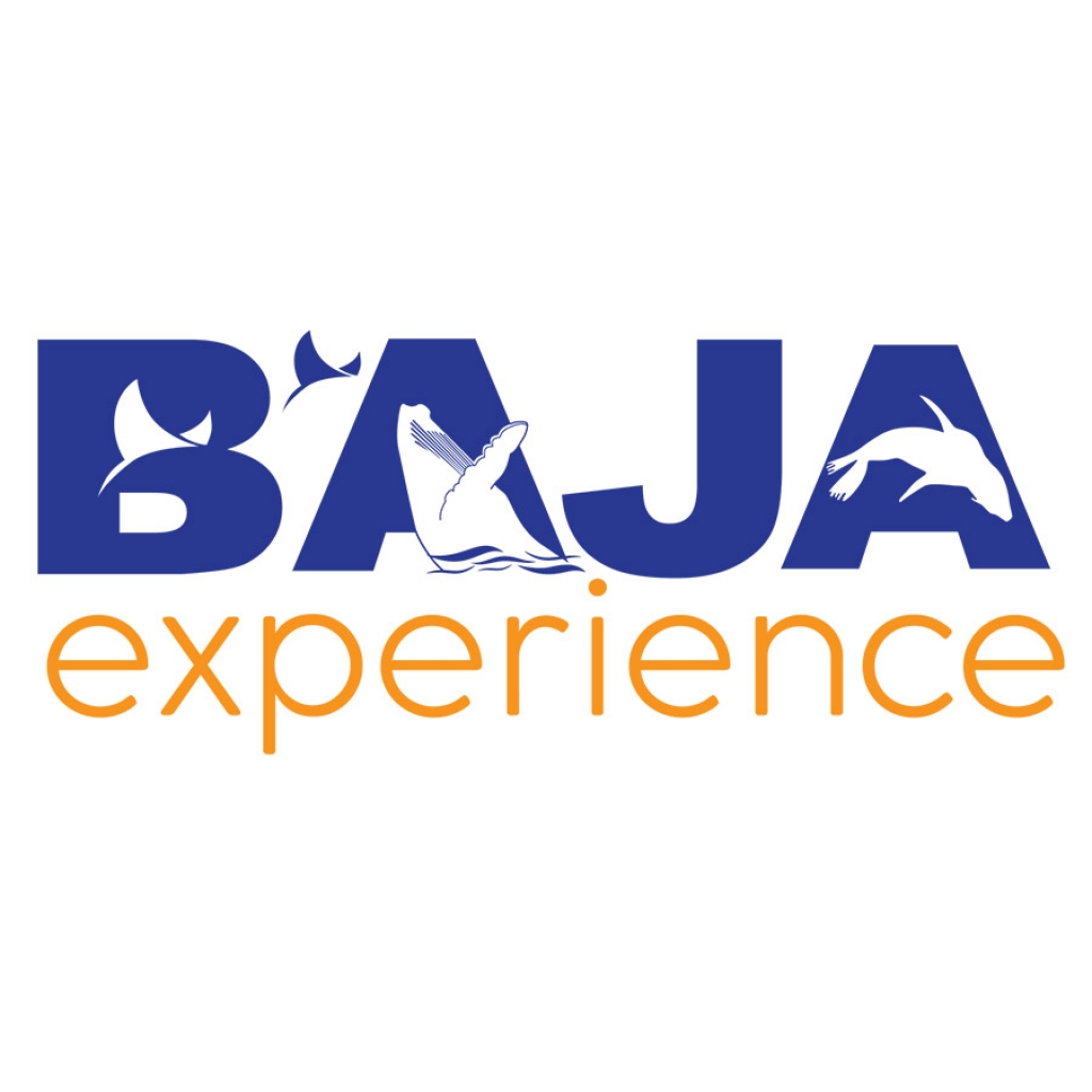 Baja Experience